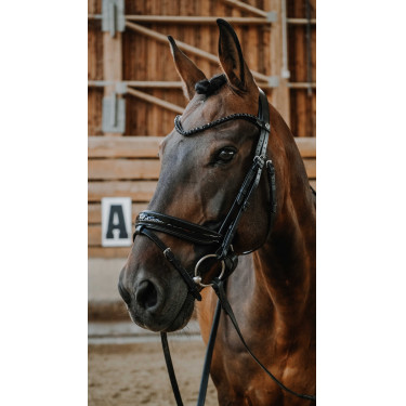 Briglia Norton Royal Briglia Norton Royal