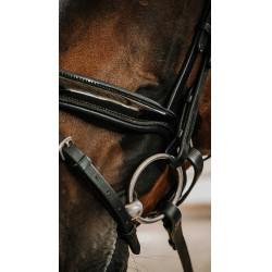 Briglia Norton Royal Nero