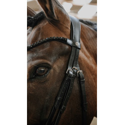 Briglia Norton Royal Nero