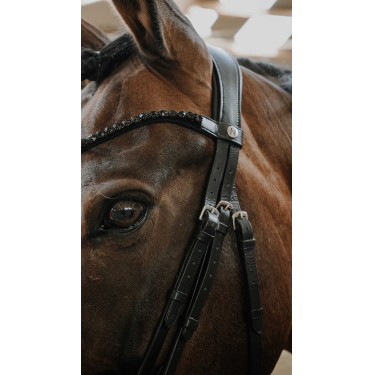 Briglia Norton Royal Briglia Norton Royal