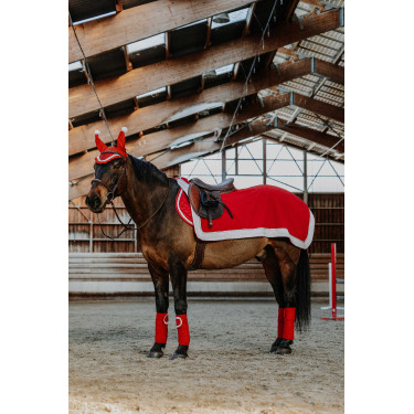 Coprireni Equithème Xmas