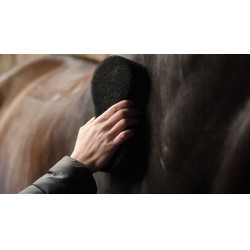 Spugna Lami-Cell Shine scrubber Nero