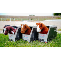 Mini-pony Jumpy Pony Academy Arancione Mini-pony Jumpy Pony Academy Arancione