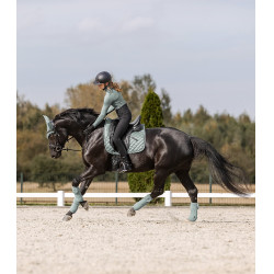 Sottosella Waldhausen Nepal Blu argentato