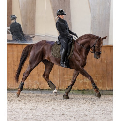 Sottosella Waldhausen Philadelphia Marrone verde