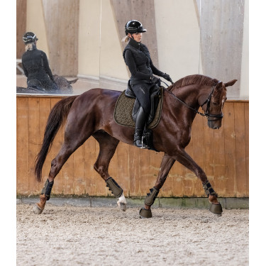 Sottosella Waldhausen Philadelphia Marrone verde