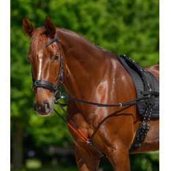 Redini triangolari W-train Waldhausen Nero