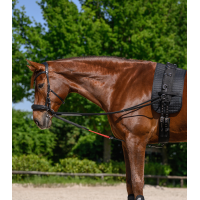 Redini triangolari W-train Waldhausen Nero