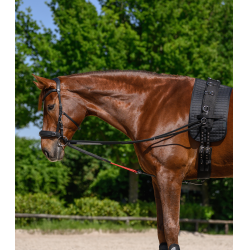 Redini triangolari W-train Waldhausen Nero