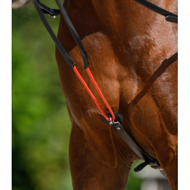 Redini triangolari W-train Waldhausen Nero