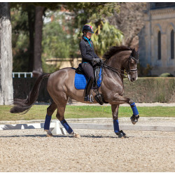 Tappetino LeMieux Suede Dressage Square Blu benetton