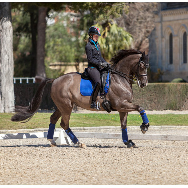 Tappetino LeMieux Suede Dressage Square Blu benetton Tappetino LeMieux Suede Dressage Square Blu benetton