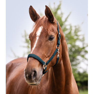 Capestro Waldhausen Satin Blu petrolio