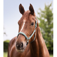 Capestro Waldhausen Satin Blu argentato Capestro Waldhausen Satin Blu argentato