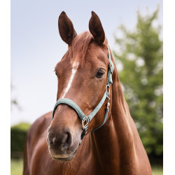 Capestro Waldhausen Satin Blu argentato