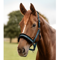 Capezzina Waldhausen Elegant Blu petrolio