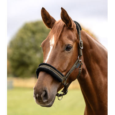 Capezzina Waldhausen Elegant Marrone verde