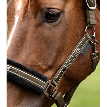 Capezzina Waldhausen Elegant Marrone verde