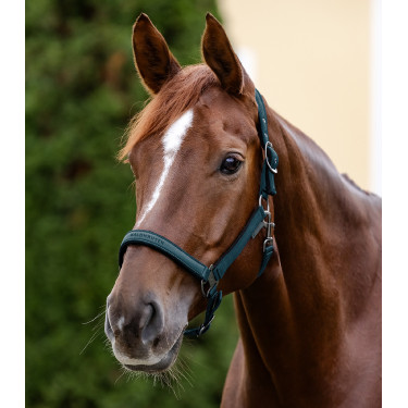 Capezzina Waldhausen Athletic Blu petrolio