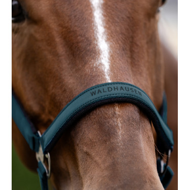 Capezzina Waldhausen Athletic Blu petrolio