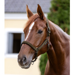 Capezzina Waldhausen Athletic Marrone verde