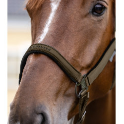 Capezzina Waldhausen Athletic Marrone verde