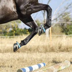 Hipposandalo Scoot Boots Hipposandalo Scoot Boots