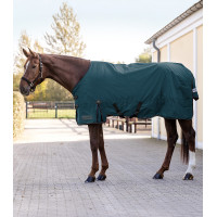 Coperta da esterno Waldhausen Arctic 300 g Blu petrolio