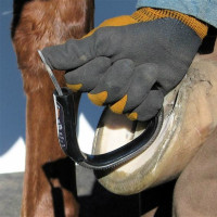 Bar & Sole Rasps Pro Bar & Sole Rasps Pro