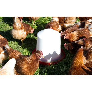 Abbeveratoio in plastica Kerbl Hobbyfarming Bianco / rosso