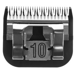 new new