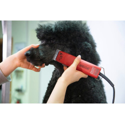 Tosatrice FAV5 Aesculap Rosso