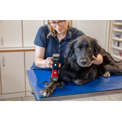 Tosatrice a batteria Favorita CLi Aesculap Rosso