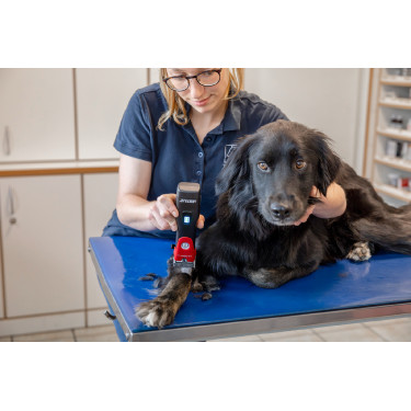 Tosatrice a batteria Favorita CLi Aesculap Rosso