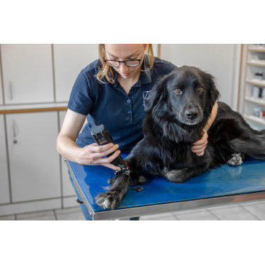 Tosatrice a batteria Favorita CLi Aesculap Rosso