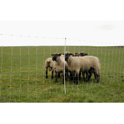 OviNet Maxi AKO Bianco / blu