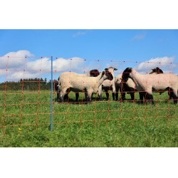 OviNet Premium AKO Arancione OviNet Premium AKO Arancione