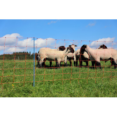 OviNet Premium AKO Arancione OviNet Premium AKO Arancione