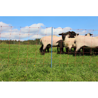 OviNet Premium AKO Arancione OviNet Premium AKO Arancione