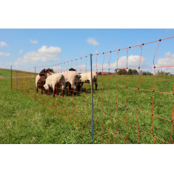 OviNet Premium AKO Arancione OviNet Premium AKO Arancione