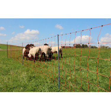 OviNet Premium AKO Arancione OviNet Premium AKO Arancione