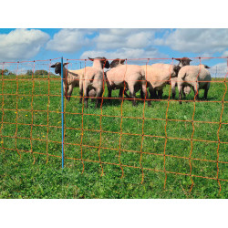 OviNet Premium AKO Arancione OviNet Premium AKO Arancione