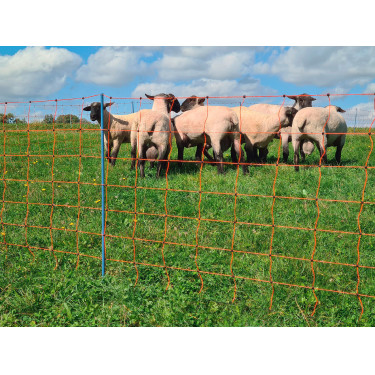 OviNet Premium AKO Arancione OviNet Premium AKO Arancione