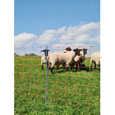 OviNet Premium AKO Arancione OviNet Premium AKO Arancione