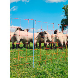 OviNet Premium AKO Arancione OviNet Premium AKO Arancione