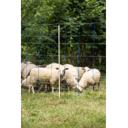 TitanNet 145 AKO Blu / bianco TitanNet 145 AKO Blu / bianco