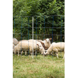 TitanNet 145 AKO Blu / bianco TitanNet 145 AKO Blu / bianco