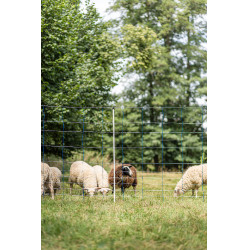 TitanNet 145 AKO Blu / bianco TitanNet 145 AKO Blu / bianco