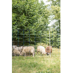 TitanNet 145 AKO Blu / bianco TitanNet 145 AKO Blu / bianco