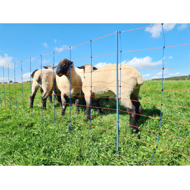 TitanNet Premium AKO Blu / arancione